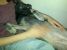 Atena - pui de catel pentru adoptie urgenta!