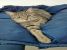 Biggie, blanita matasoasa si suflet jucaus, pentru adoptie cu iubire