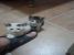 Pisoi pentru adoptie