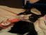 Zorro, baiat chipes, dragalas, afectuos si pentru adoptie